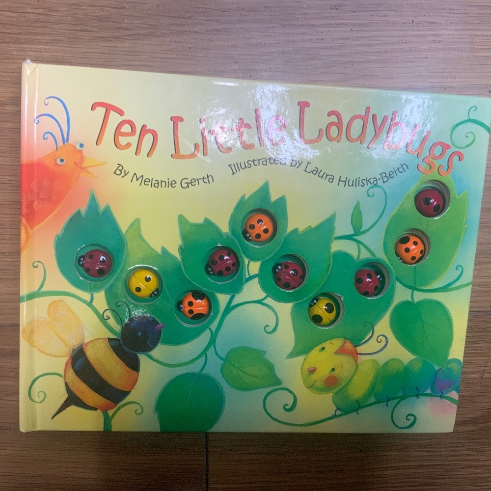 Ten Little Ladybugs Board Book by Melanie Gerth